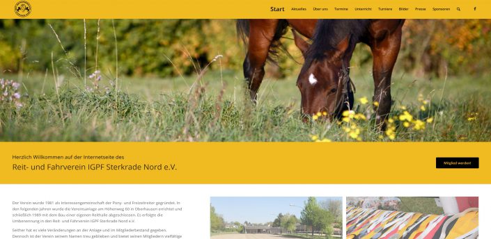 Webseite des Reitvereins IGPF mit Terminen, Nachrichten und Bildergalerie